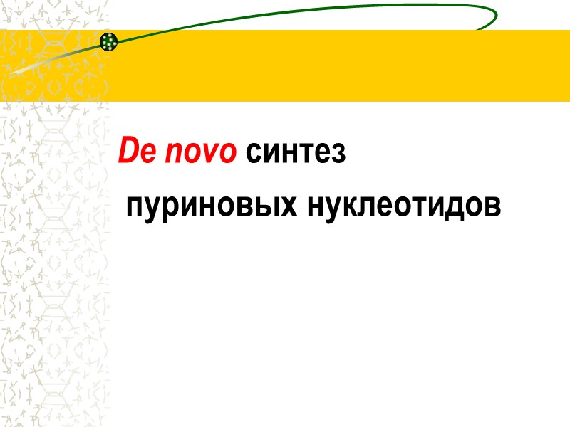 De novo синтез           пуриновых